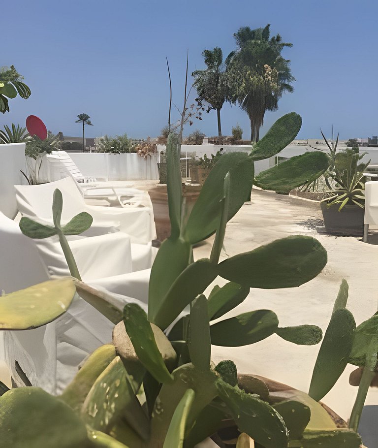 Estudio 01 cerca de playa y centro Cabo San Lucas