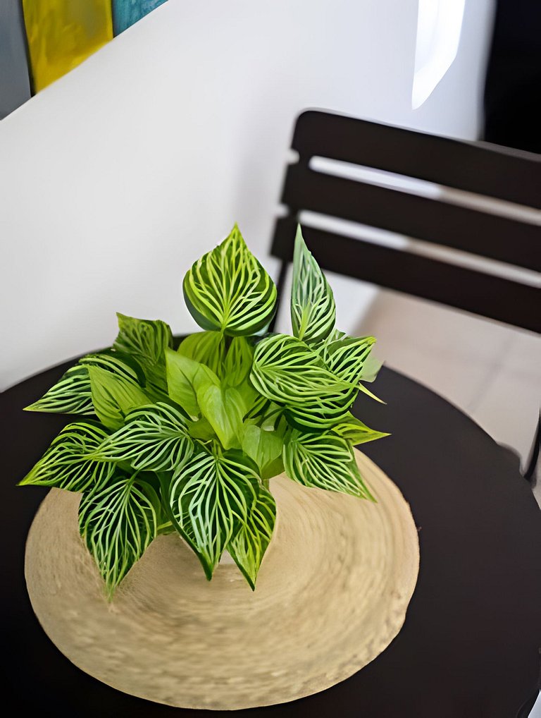 Studio 12 near the beach & downtown Cabo San Lucas