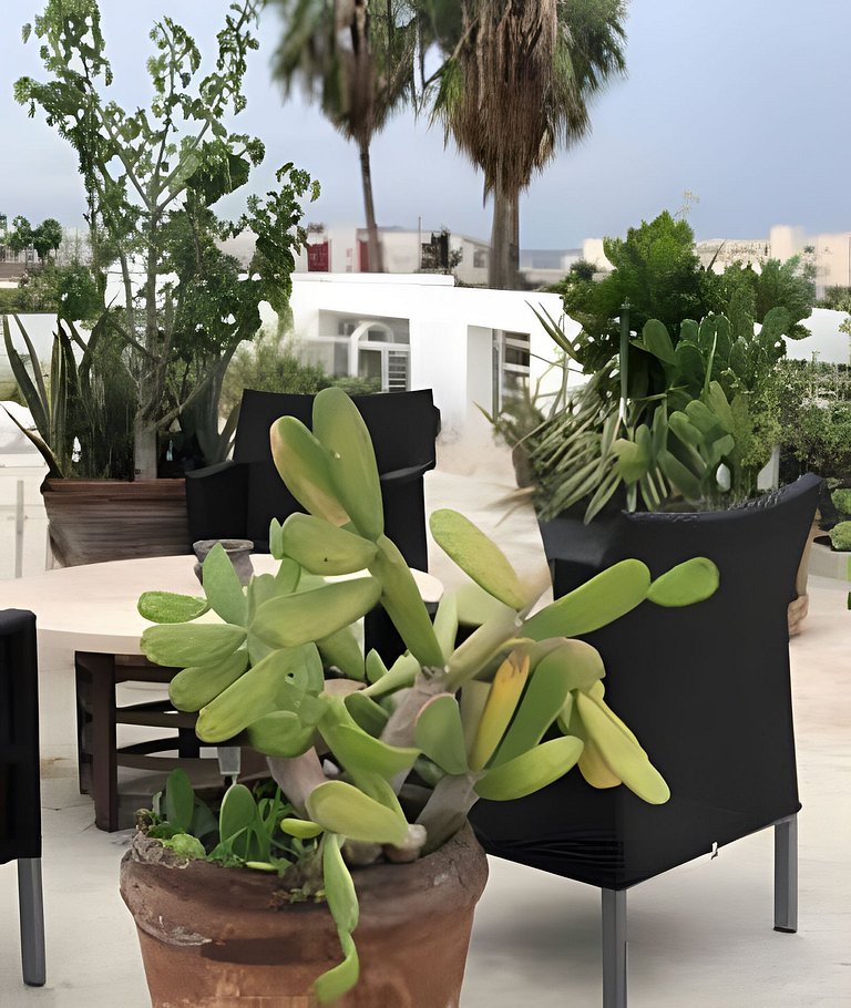 Studio 12 near the beach & downtown Cabo San Lucas