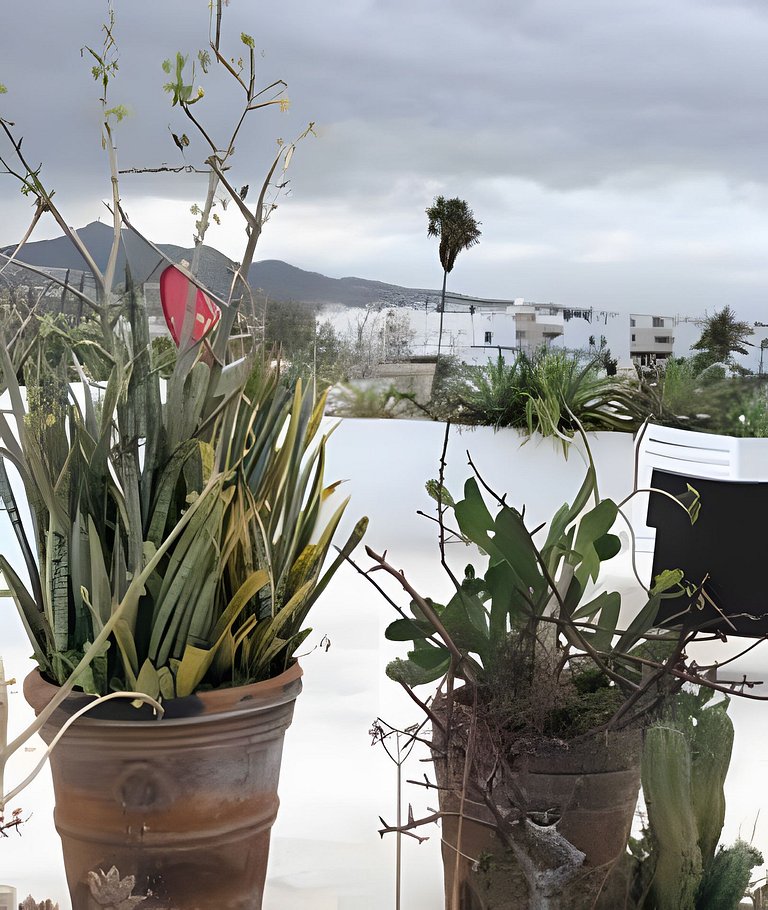 Estudio 23 · Studio 23 near the beach & downtown Cabo San Lu