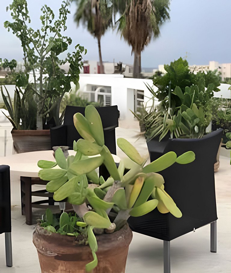Studio 10 near the beach & downtown Cabo San Lucas
